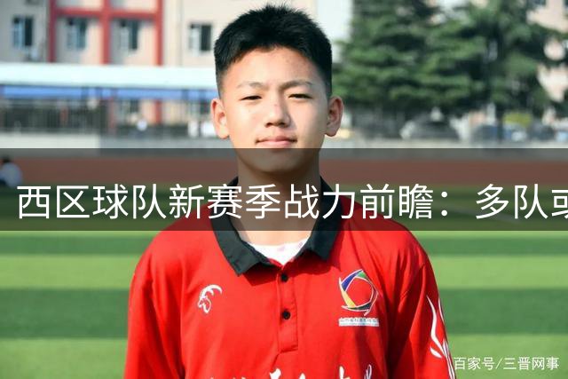 西区球队新赛季战力前瞻：多队或退步 独行侠有望反弹
