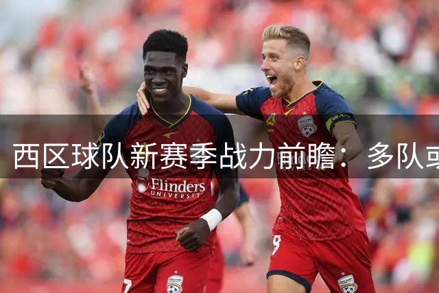 西区球队新赛季战力前瞻：多队或退步 独行侠有望反弹